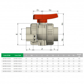     EFFAST d20  (25939) 3