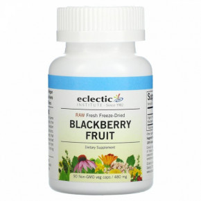  Eclectic Institute (Blackberry Fruit) 480  90 