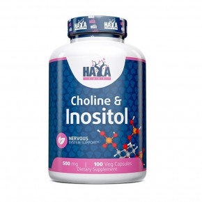 ³ Haya Labs Choline  Inositol 100 