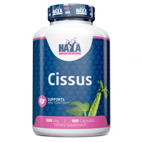 ³ Haya Labs Cissus 500 mg 100 