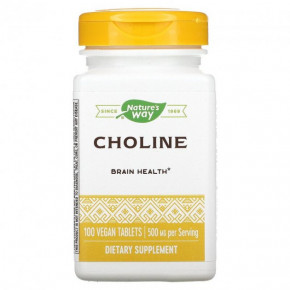  Natures Way (Choline) 500  100 