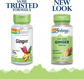  Solaray Ginger 100  (4384304757)   3