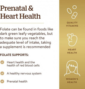   Solgar (Folate Folic Acid) 800  250  (SOL-01101) 5