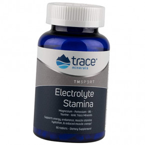  Trace Minerals Electrolyte Stamina 90 (36474011)