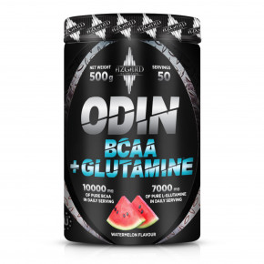 Azgard Nutrition ODIN Bcaa Glutamine - 500  