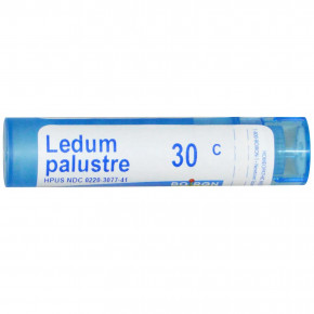   30C Boiron (Single Remedies Ledum Palustre) 80 