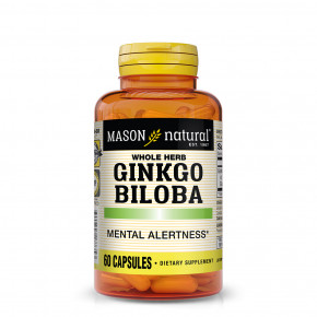  Mason Natural Ginkgo Biloba 60  