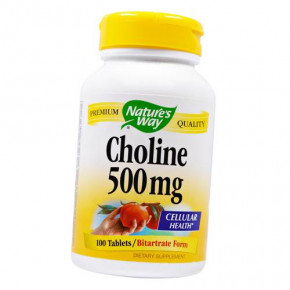 ³ Nature's Way Choline 500 100 (36344007)