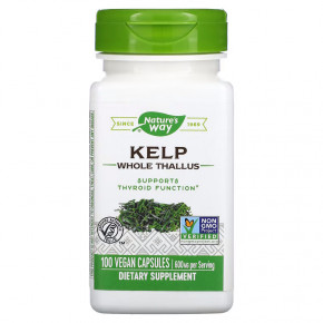  Natures Way Kelp 100  