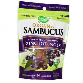  Nature's Way Organic Sambucus 24  (36344076)