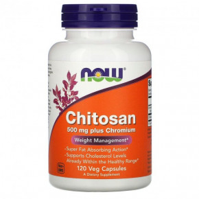  Now Foods (Chitosan) 500  120  (NOW-02025)