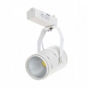   Brille LED-423/10W NW White/Silver