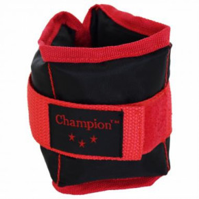  Champion 2   0.5  100-32-9459965-20