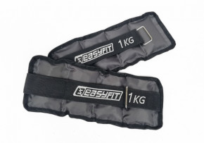  EasyFit 1    3