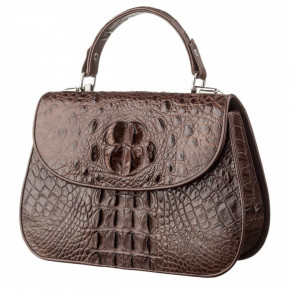      Crocodile Leather 18619