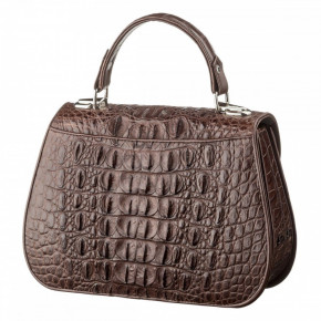      Crocodile Leather 18619 3