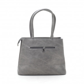   Little Pigeon 11783 grey 4