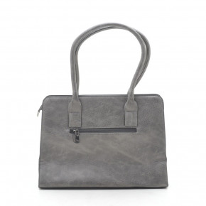   Little Pigeon 11797 grey 4