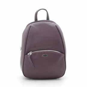  David Jones CM3906T d. purple