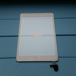     Apple iPad mini   Home White