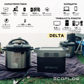   EcoFlow DELTA 1300 (1260 /) 6