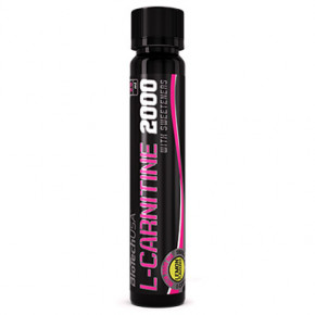  BioTech USA Nutrition L-Carnitine 2000 500  -