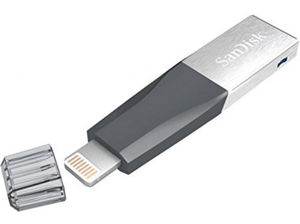 - SanDisk iXpand Mini Lightning Apple (SDIX40N-064G-GN6NN)