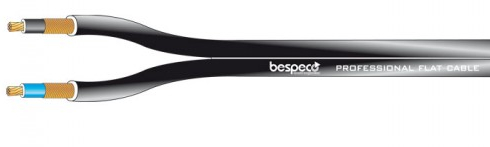   Bespeco RF2