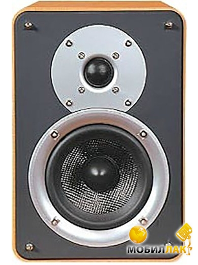   Acoustic Kingdom Giga Monitor I black ash S-1ctn