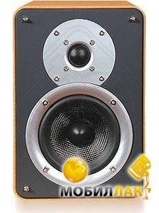   Acoustic Kingdom Giga Monitor I cherry S-1ctn