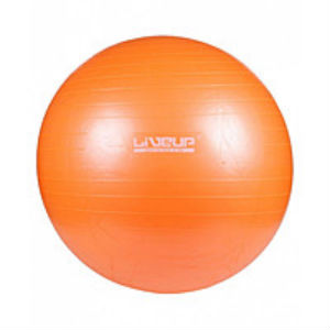    Sprinter Anti-burst Gym Ball D-55  (25150)