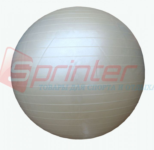    Sprinter Gym Ball D-55  (25148)