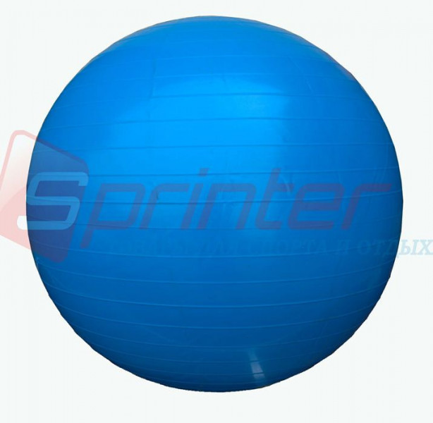    Sprinter Gym Ball D-55  (25149)