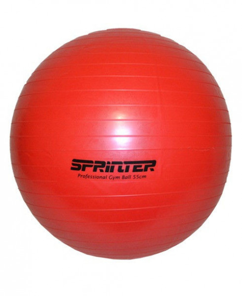    Sprinter GIM BALL  55