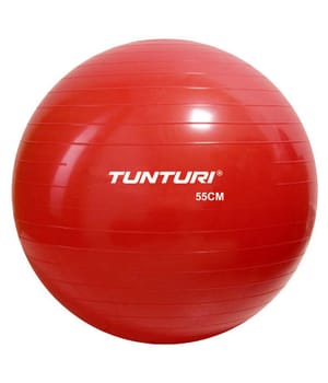    Tunturi Gymball 55 cm Red (14TUSFU281)