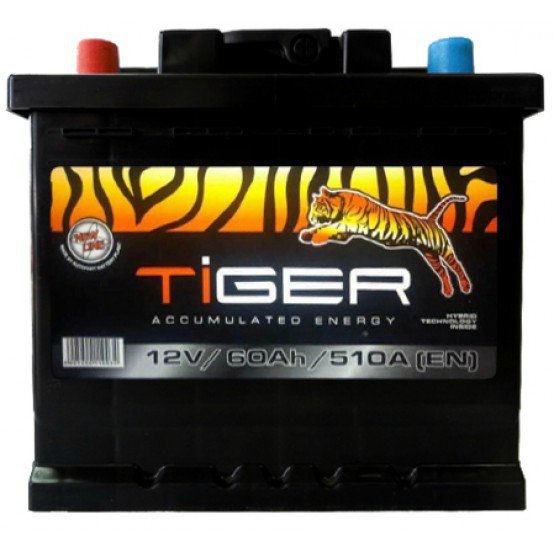   Tiger 60Ah-12V Euro R