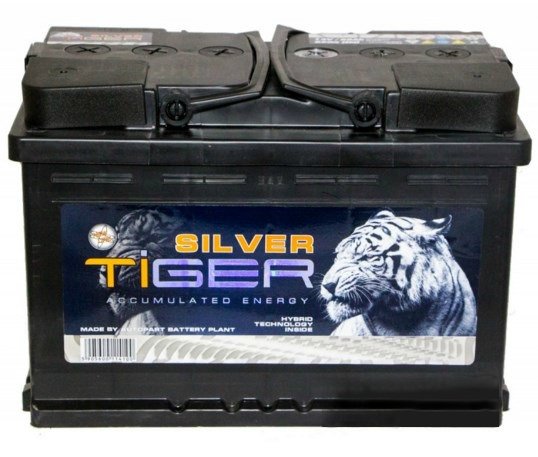   Tiger Silver 60 h-12V Euro R