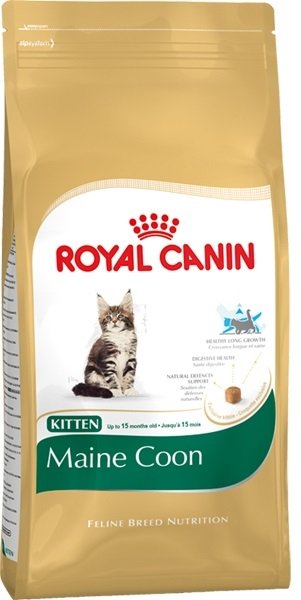    Royal Canin Maincoon kitten 2 