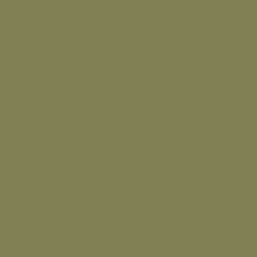  Savage Widetone Olive Green 2.72m x 11m (34-12)