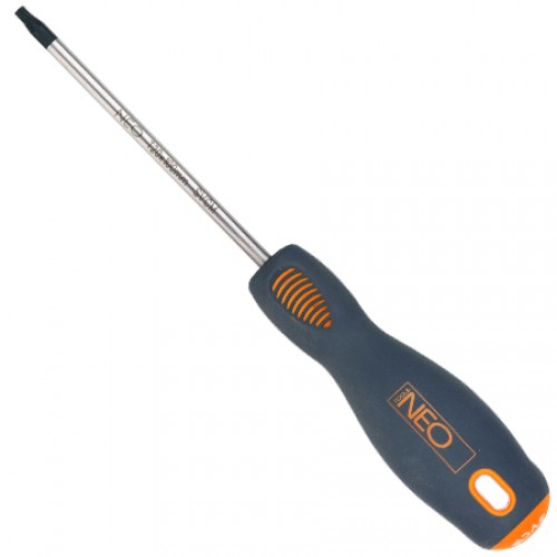  Neo Torx T10 x 100 , CrMo (04-043)