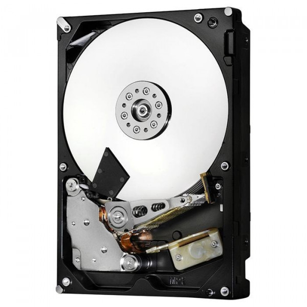   Hitachi (HGST) Deskstar NAS 10 TB (H3IKNAS1000025672SWW/0S04037)