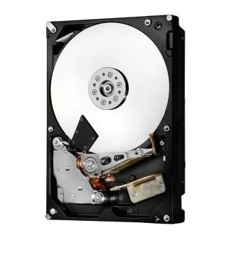   Hitachi SAS 4TB 7200 RPM 12GB