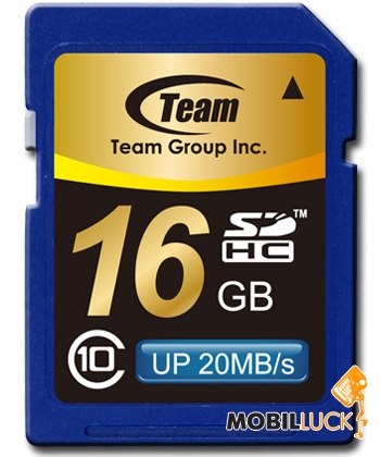   Team 16GB SDHC Class 10 (TG016G0SD28X)