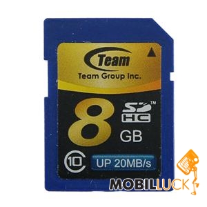   Team 8GB SDHC Class 10 (TG008G0SD28X)