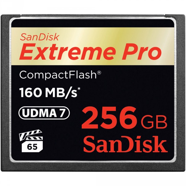   Sandisk 256GB CF Extreme Pro (SDCFXPS-256G-X46)