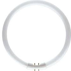   Philips TL5 60W/840 Circular (10046627)