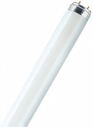   Osram L36W/765 G13 (10032409)