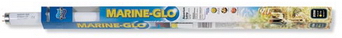    Hagen Marine-Glo 40W 120