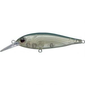  Ever Green Bank Shad #247