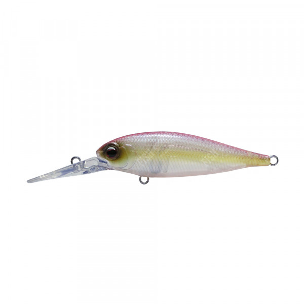  Ever Green Bank Shad # 54